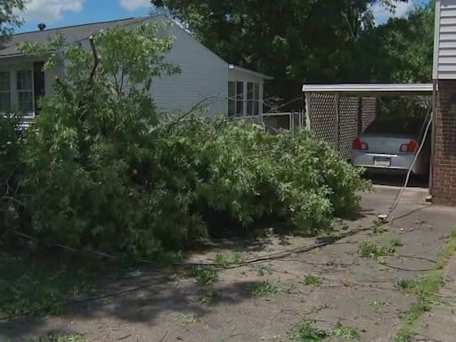 Saved by the bell: Oakdale woman receives weather alert just before tornado sends tree toppling over