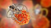 Nanorobots with 'lethal weapons' destroy cancer cells & stop tumours spreading