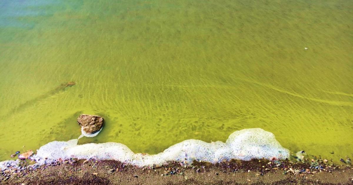 Harmful algae blooms hit Nevada's lakes, but new tools help push back