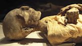 Ancient Mummies From Mexico Might Be Infecting Humans