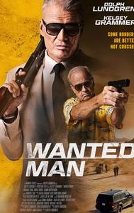 Wanted Man (film)
