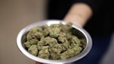 US unveils proposal to ease restrictions on marijuana