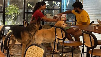 Pet cafe culture catches up in Lucknow