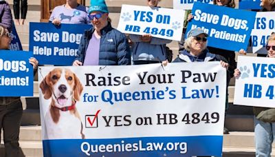 Lily Tomlin, Dogs, Michigan Residents Ask Legislators to “Raise Your Paw for Queenie’s Law!”