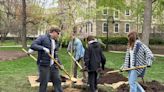 Old Willow is back on Penn State’s campus. Why the landmark is ‘truly something special’