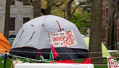 Over 300 Harvard professors sign letter urging Harvard to negotiate with protesters