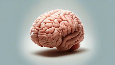 Día Mundial del Cerebro: ¿Por qué se celebra este 22 de julio?