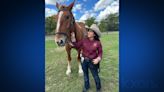 Mounted horse patrol coming to Texas State University, help monitor higher crime areas