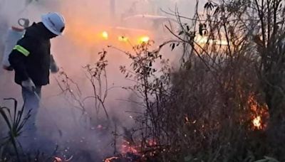 Incendio en reserva Río Lagartos en Yucatán causa afectaciones