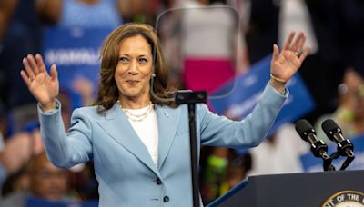 Kamala Harris has enough delegate votes to officially become historic Democratic nominee: DNC chair