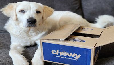 Stock influencer 'Roaring Kitty' discloses 6.6% stake in Chewy