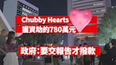 Chubby Hearts獲資助約780萬元 政府：要交報告才撥款