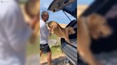 Este perro hace todas las acrobacias posibles para no subirse al coche tras un día de playa