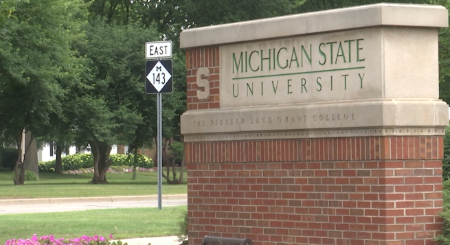 MSU expert discusses bird flu detections, what to know