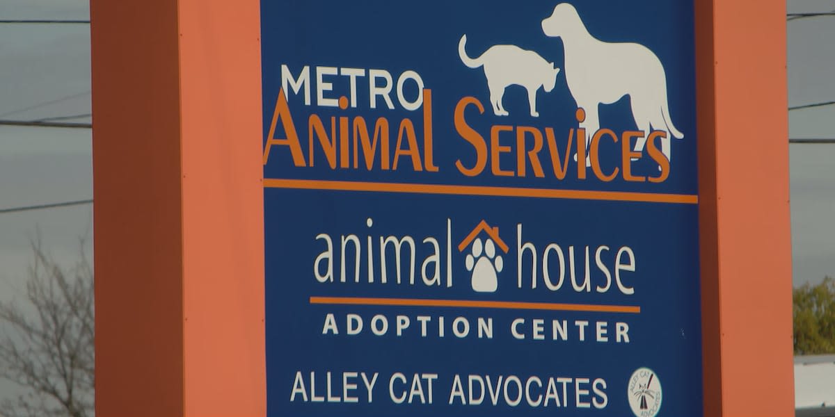 LMAS halts dog intakes and adoptions due to distemper case at shelter