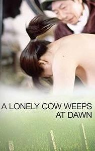 A Lonely Cow Weeps at Dawn