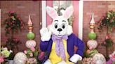 Easter events in Asheville area 2024: 14 egg hunts, worship services, more