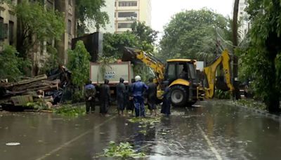 Cyclone Remal: 3 injured in Kolkata; Metro Rail services, traffic disrupted