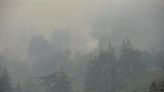 Humo de los incendios forestales canadienses llega a EE.UU. y genera alerta de calidad del aire - La Opinión