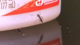 Pinellas County officials work to keep mosquitoes under control