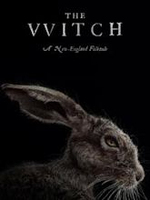 The Witch (2015 film)