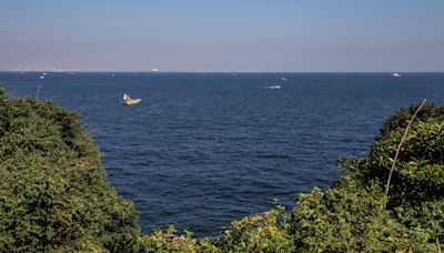 Bather rescued 80km from Japan beach after 36 hours