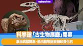 香港好去處｜科學館全新常設展廳「古生物展廳」開幕！展出真猛獁象、恐爪龍等逾百組珍貴化石、與機械恐龍互動