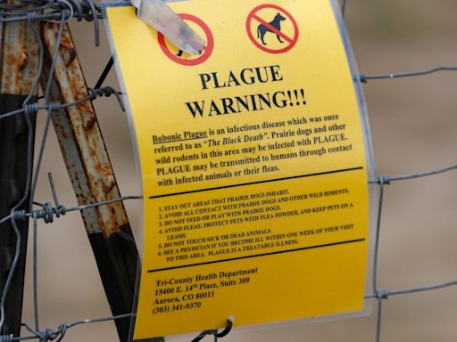 Colorado public health officials confirm new case of human plague