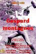 Gaspard des montagnes