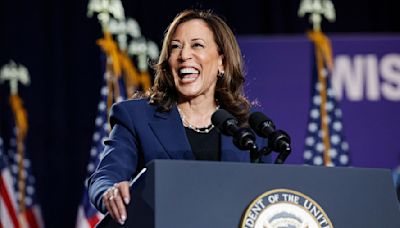 Trump allies ripped for 'totally stupid, dumb' Kamala Harris attacks