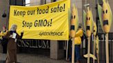 Parliament backs deregulation of new GMOs amid warning from German watchdog, ongoing patents row