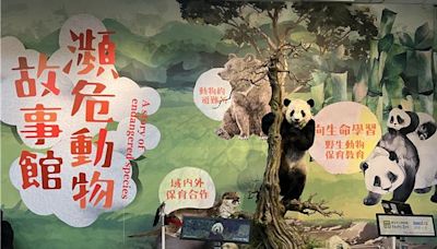 大象林旺標本師操刀 大熊貓「團團」重返瀕危動物故事館 - 生活