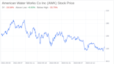 Decoding American Water Works Co Inc (AWK): A Strategic SWOT Insight