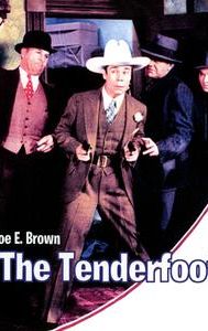 The Tenderfoot (film)