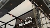 Low US natgas prices to dampen prospects for Tellurian asset sale