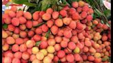 Punjab exports first shipment of Pathankot’s litchi to England