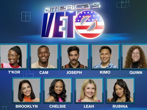 ‘Big Brother’ Season 26: Who Did Viewers Nominate After America’s Veto Power Was Activated & Who Was Evicted