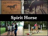 Spirit Horse