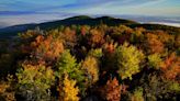 Peep the leaves by rail: Amtrak has you covered for foliage spotting this fall