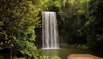 Two young men who died while swimming at waterfall are identified