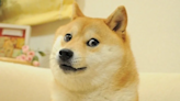 Kabosu, the original face of the Dogecoin (DOGE) meme, has passed away