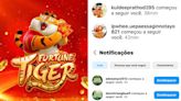 "Fortune Tiger": como se livrar dos pedidos de amizade no Instagram