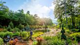 Garden Designer Jay Sifford Is At Peace Among The Plants