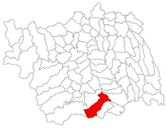 Căiuți