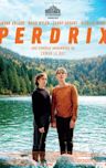 Perdrix (film)