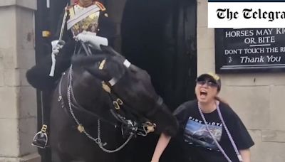 Watch: Tourist bitten by King’s Guard horse - while standing under warning sign