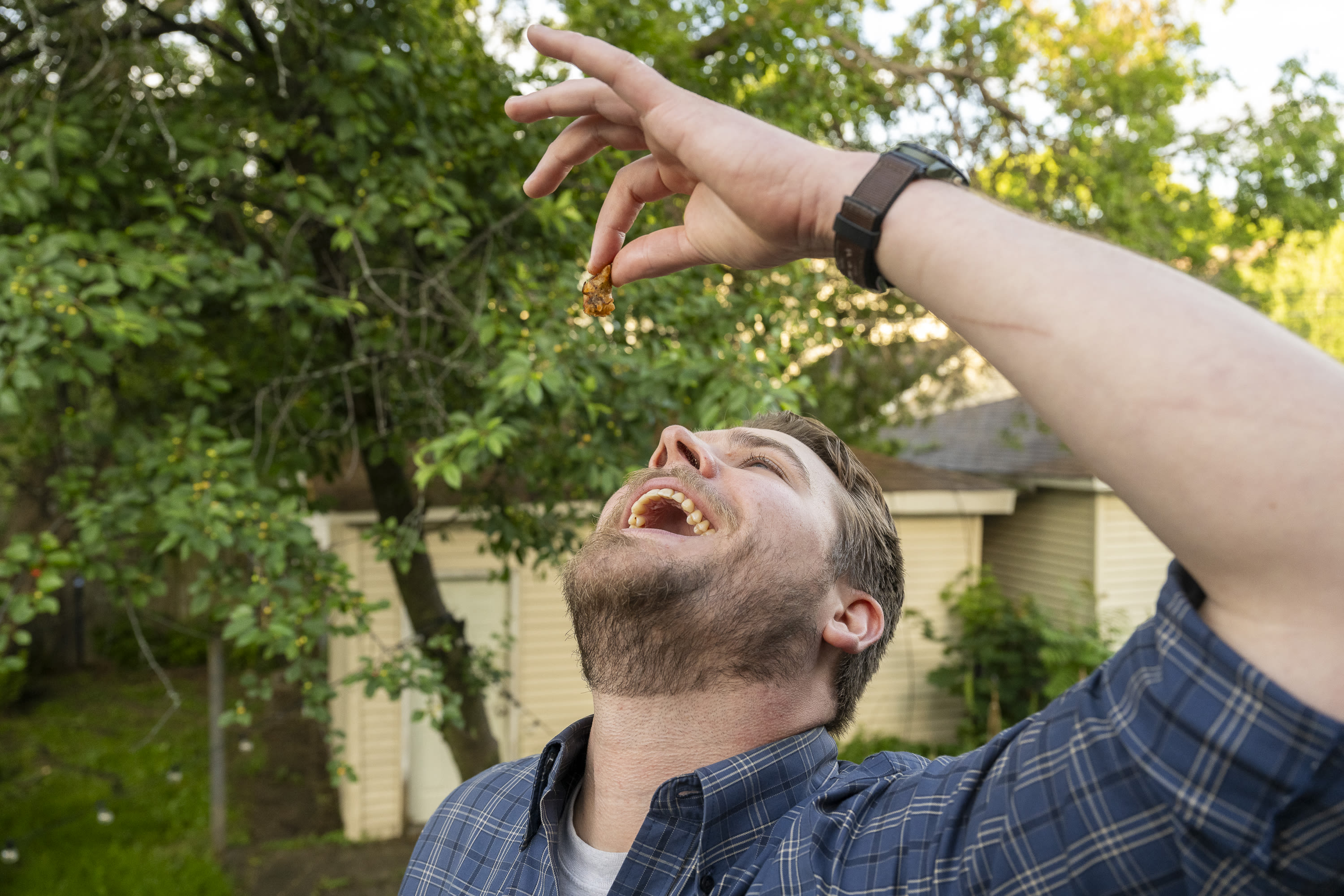 Locals indulge in cicada snacks — available every 17 years