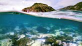 New drone footage shows 97% of coral is dead in northern Great Barrier Reef