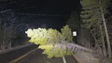 Powerful winds tear down trees and knock out power along Colorado's Front Range