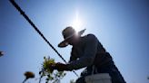 Climate change ratchets up the stress on farmworkers on the front lines of a warming Earth